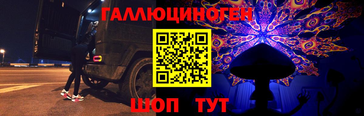 Россия  Псилоцибиновые грибы Psilocybine cubensis  где купить наркоту  Вход с VPN 