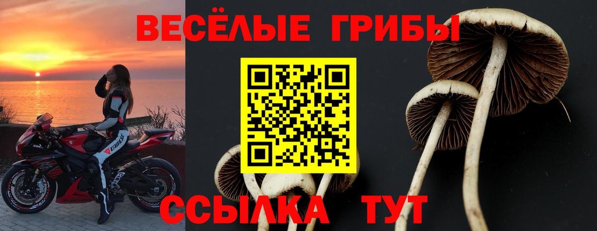 Галлюциногенные грибы прущие грибы Россия